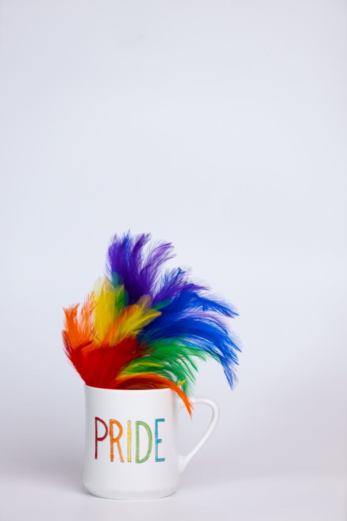 White mug with rainbow feathers and PRIDE text, symbolizing LGBTQ+ pride.